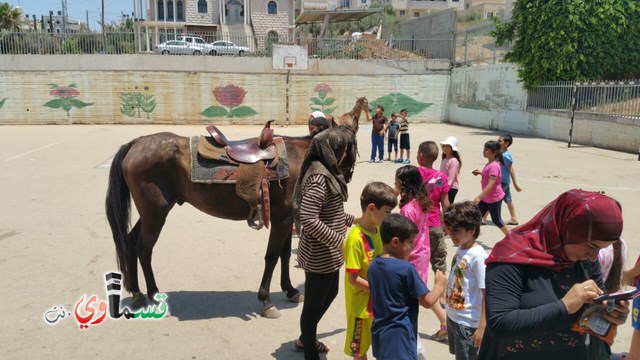 كفرقاسم - فيديو  : تعليم هواية ركوب الخيل في مدرسة جنة ابن رشد في اليوم الرابع لصيف الصادقة 